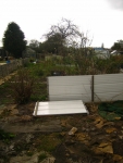 Top of Allotment February 2008