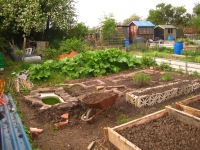 Bottom of Allotment May 2008