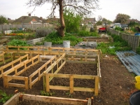 Middle of allotment May 2008