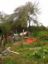 Bottom of Allotment February 2008