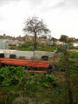 Middle of allotment February 2008