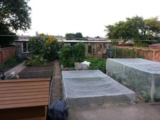 Garden in August 2013